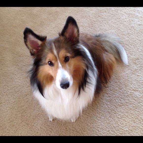 Mixing with MaeMaeW- "Mix my Closet with Yours" - Picture 6 of 6